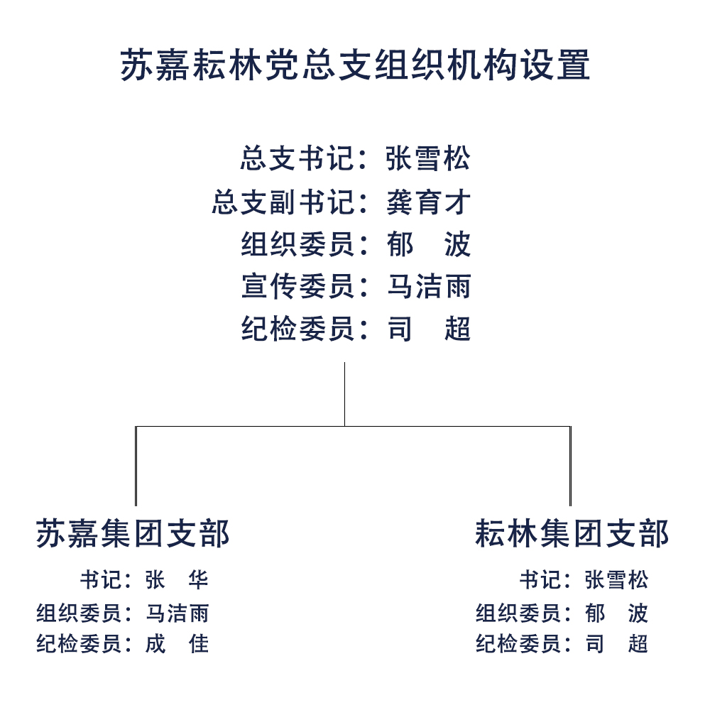 蘇嘉耘林黨總支組織機構設置.jpg